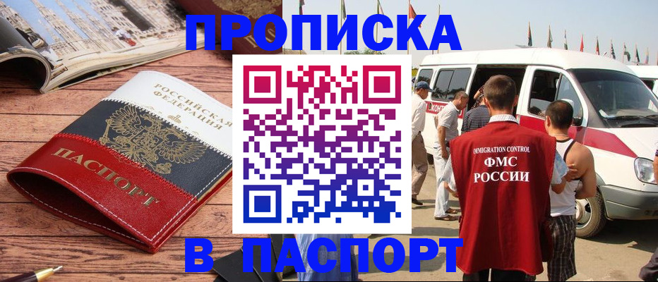 регистрация в Кингисеппе